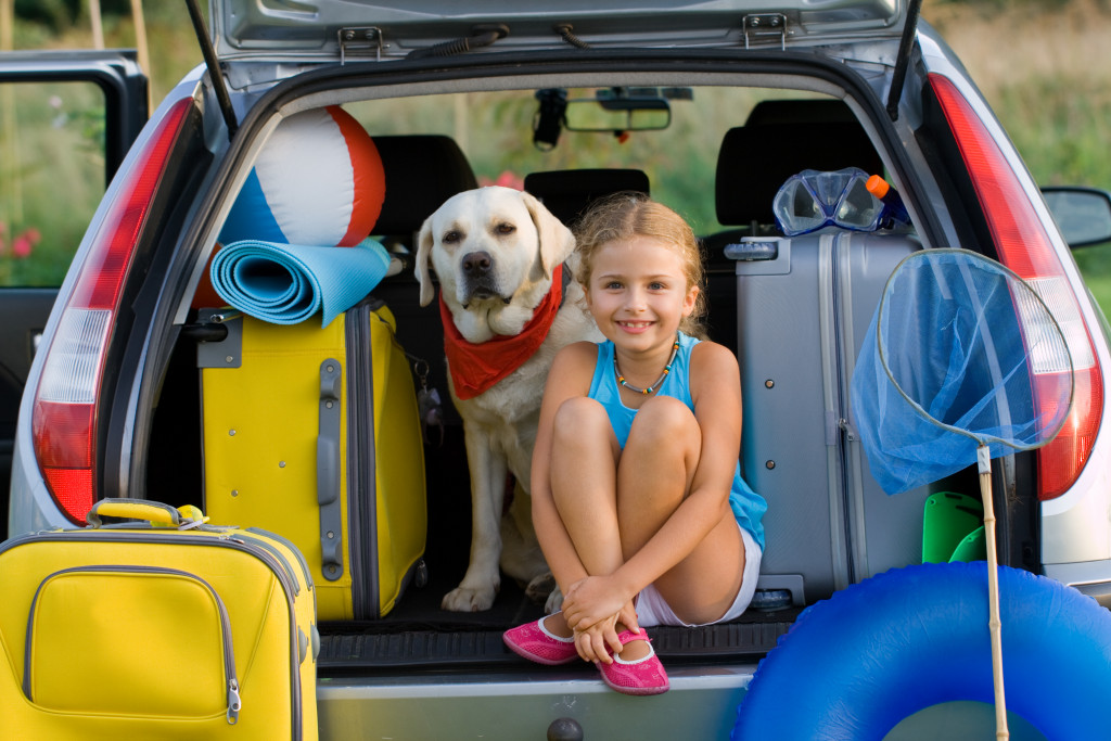 a little girl and a dog sitting at the trunk of a car preparing for an outdoor trip