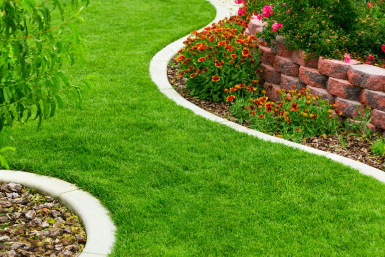 An image of a garden